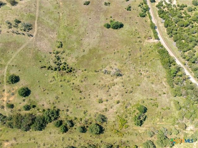 TBD County Road 102, Purmela, TX 76566 - photo 5