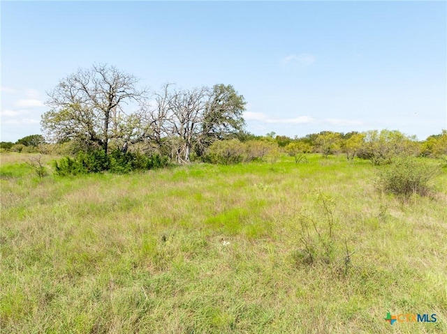 TBD County Road 102, Purmela, TX 76566 - photo 18
