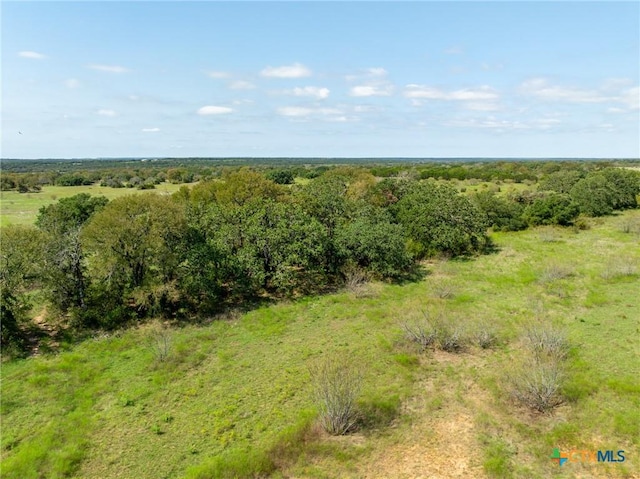 TBD County Road 102, Purmela, TX 76566 - photo 25