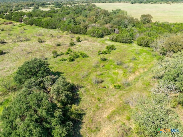 TBD County Road 102, Purmela, TX 76566 - photo 28
