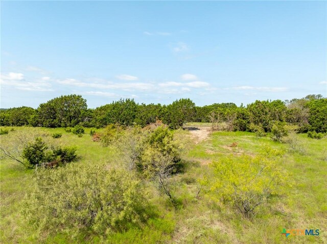 TBD County Road 102, Purmela, TX 76566 - photo 13