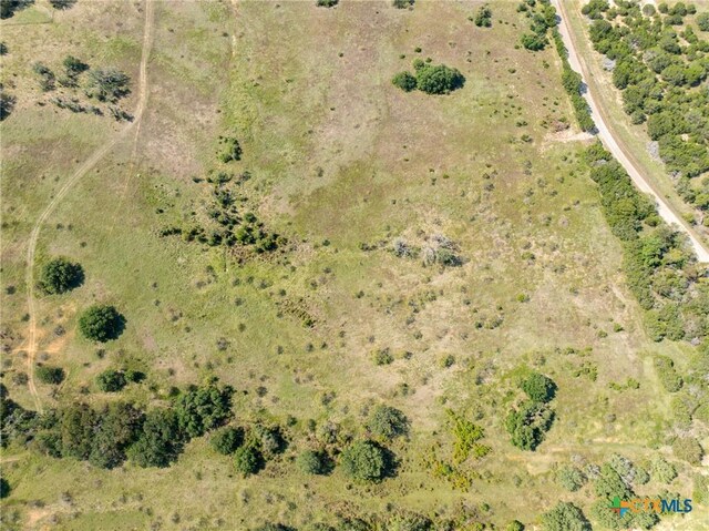 TBD County Road 102, Purmela, TX 76566 - photo 6