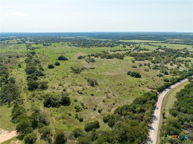 TBD County Road 102, Purmela, TX 76566 - photo 2