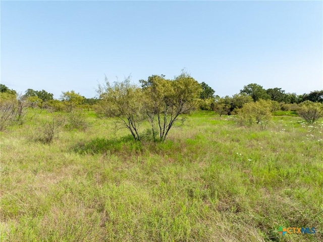 TBD County Road 102, Purmela, TX 76566 - photo 19