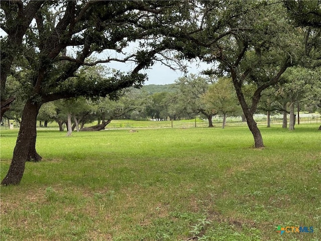 318 Crooked Oak Dr, Spring Branch, TX 78070 - photo 14