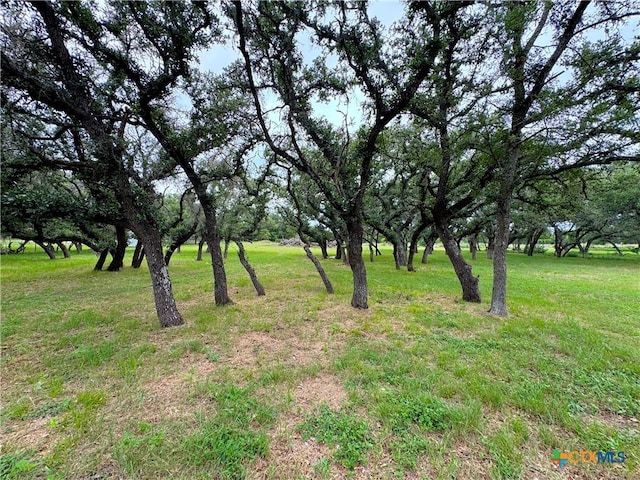 318 Crooked Oak Dr, Spring Branch, TX 78070 - photo 9