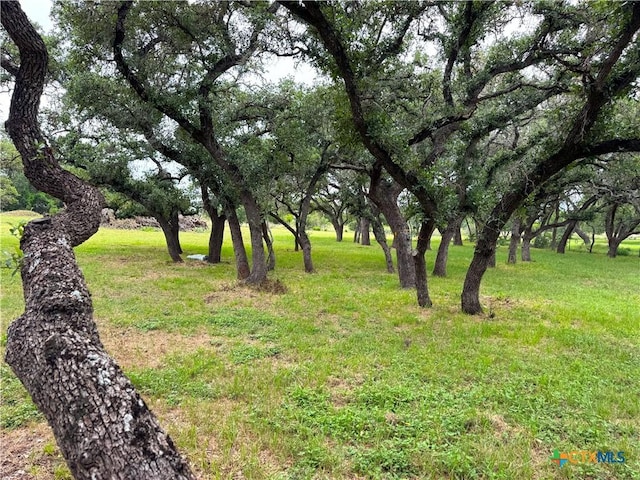 318 Crooked Oak Dr, Spring Branch, TX 78070 - photo 10