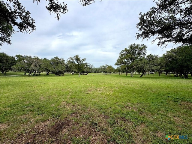 318 Crooked Oak Dr, Spring Branch, TX 78070 - photo 16