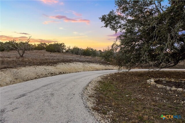 1069 Purple Sage Trl, Blanco, TX 78606