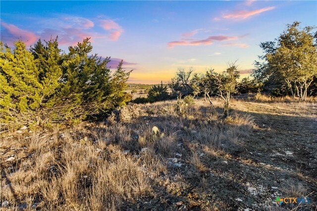 1069 Purple Sage Trl, Blanco, TX 78606
