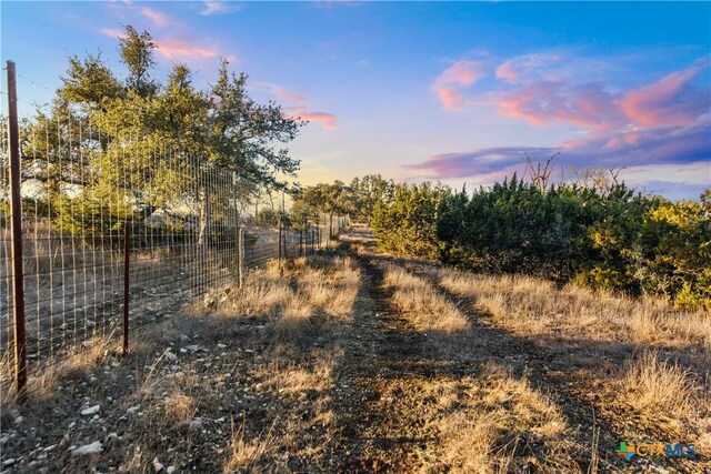 1069 Purple Sage Trl, Blanco, TX 78606