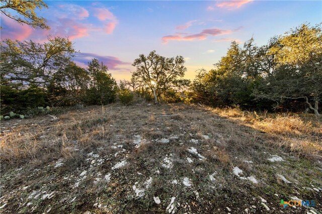 1069 Purple Sage Trl, Blanco, TX 78606