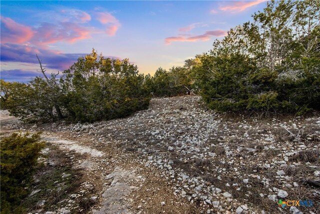 1069 Purple Sage Trl, Blanco, TX 78606