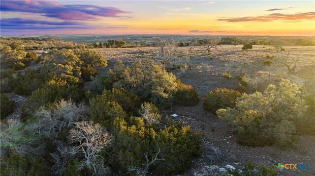 1069 Purple Sage Trl, Blanco, TX 78606