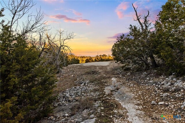 1069 Purple Sage Trl, Blanco, TX 78606