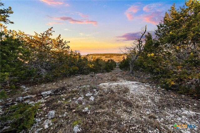 1069 Purple Sage Trl, Blanco, TX 78606