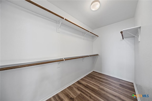 2007 Jefferson Ct, Belton, TX 76513 - spacious closet featuring dark wood finished floors