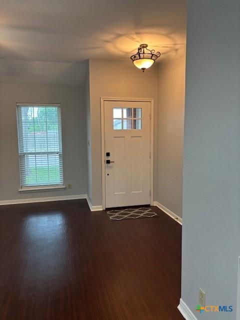 entrance foyer with a wealth of natural light, dark wood-type flooring, and baseboards