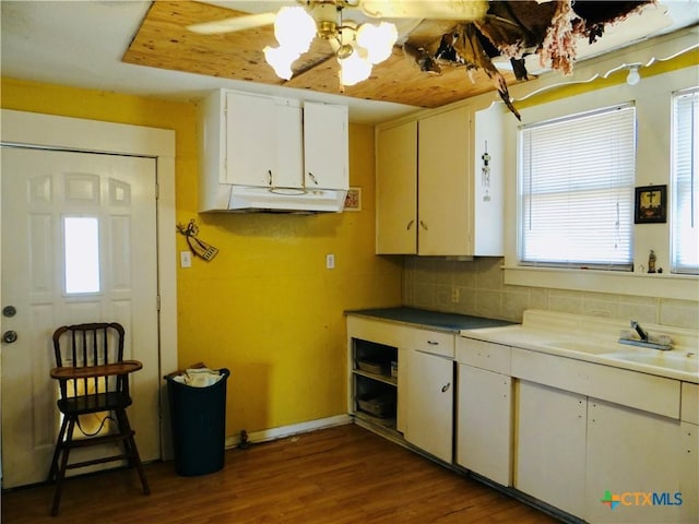 kitchen featuring under cabinet range hood, wood finished floors, a sink, tasteful backsplash, and white cabinetry