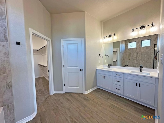 bathroom featuring vanity and wood-type flooring