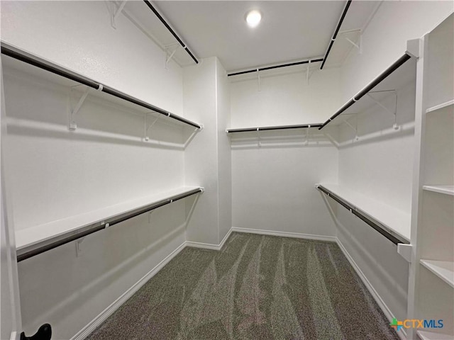 spacious closet with carpet flooring