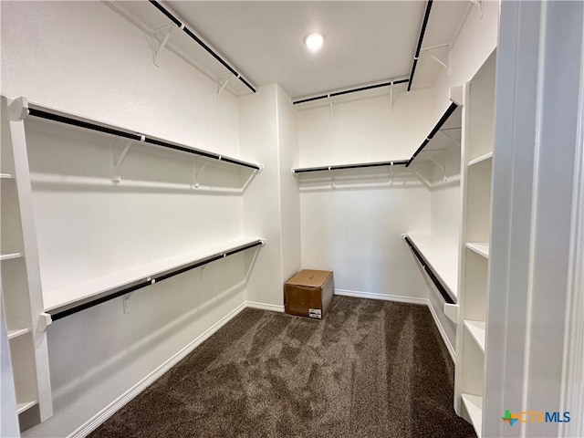 spacious closet featuring dark carpet