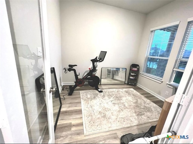 exercise room featuring hardwood / wood-style floors