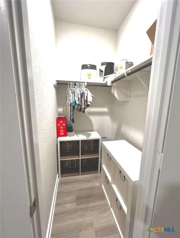 spacious closet with light wood-type flooring