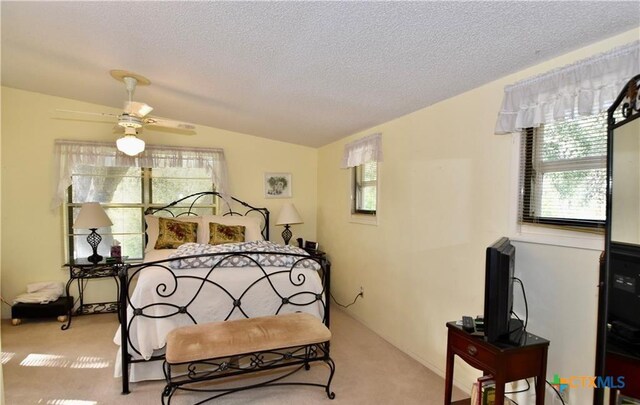 1620 Hofheinz St, San Marcos, TX 78666 - photo 18