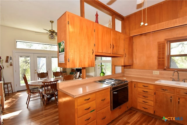 kitchen with kitchen peninsula, plenty of natural light, and gas stove