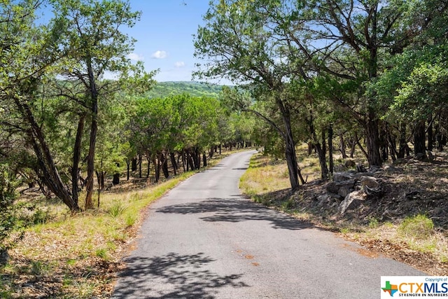 view of road