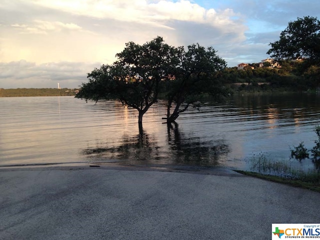 property view of water