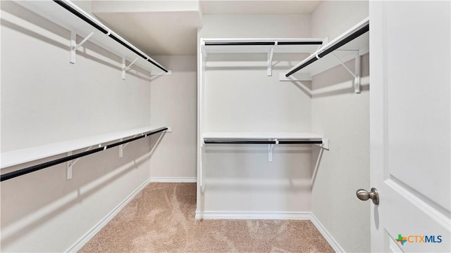 spacious closet featuring light colored carpet