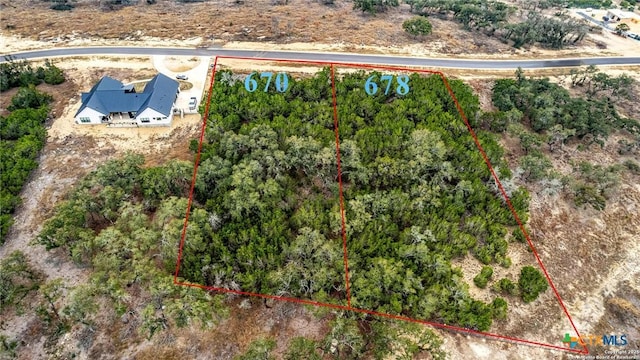 670 Butler Oaks, Bulverde, TX 78163 - photo 18