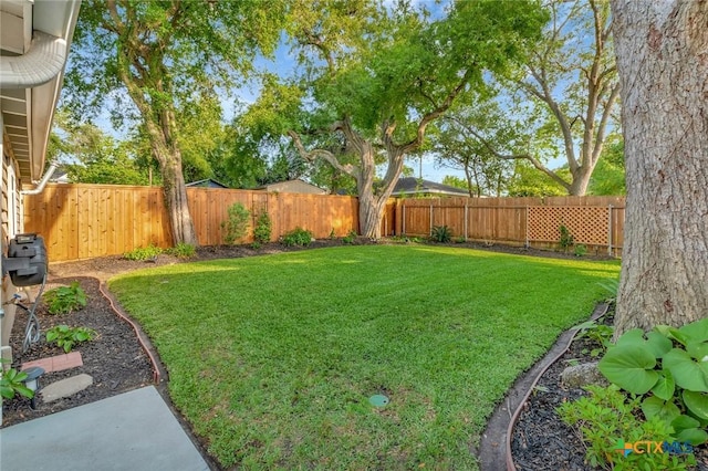 406 S Liberty St, Victoria, TX 77901 - view of yard featuring a fenced backyard