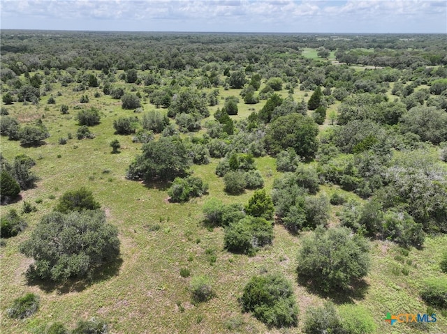 0000 Terryville Church Rd, Yoakum, TX 77995 - photo 5