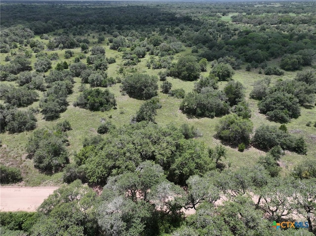 0000 Terryville Church Rd, Yoakum, TX 77995 - photo 1