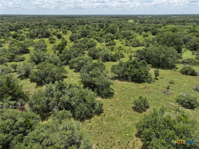 0000 Terryville Church Rd, Yoakum, TX 77995 - photo 4