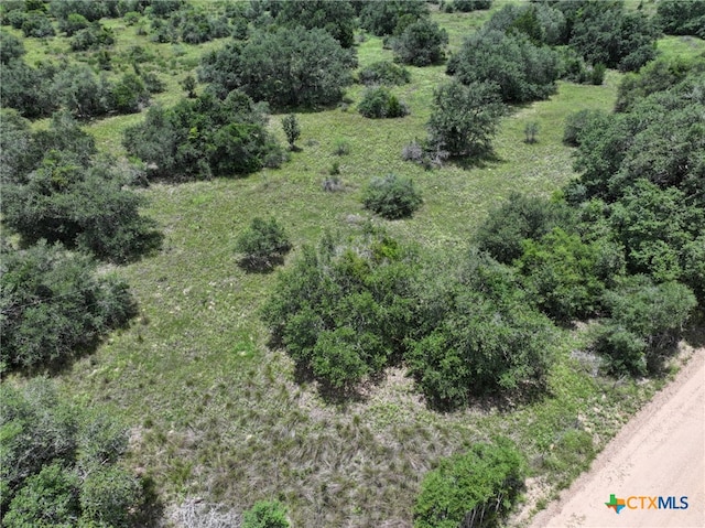 0000 Terryville Church Rd, Yoakum, TX 77995 - photo 3