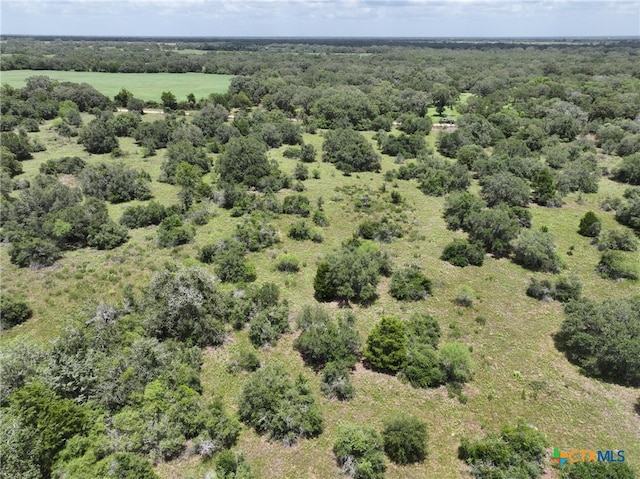 0000 Terryville Church Rd, Yoakum, TX 77995 - photo 7