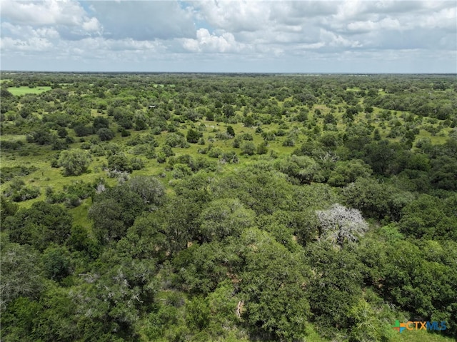 0000 Terryville Church Rd, Yoakum, TX 77995 - photo 9