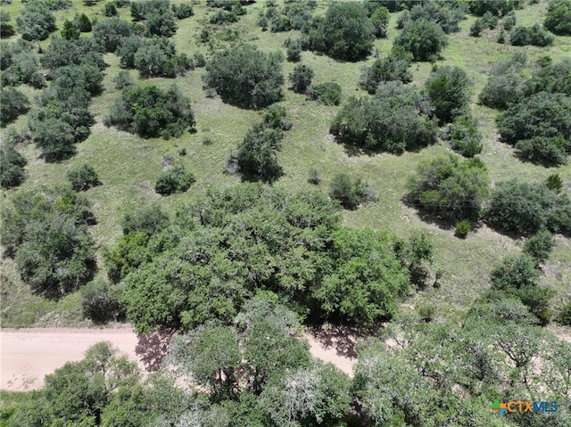0000 Terryville Church Rd, Yoakum, TX 77995 - photo 10