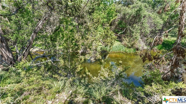 view of landscape with a water view