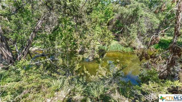 606 Deer Lake Cv, Wimberley, TX 78676 - photo 39