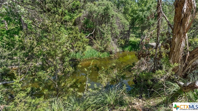 view of landscape with a water view