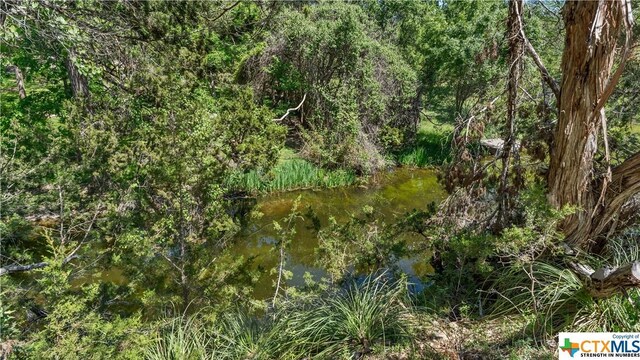 606 Deer Lake Cv, Wimberley, TX 78676 - photo 40