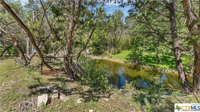606 Deer Lake Cv, Wimberley, TX 78676 - photo 44