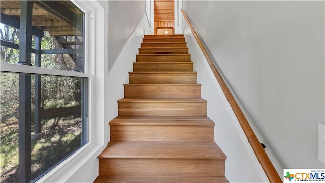 606 Deer Lake Cv, Wimberley, TX 78676 - photo 27