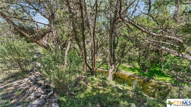 606 Deer Lake Cv, Wimberley, TX 78676 - photo 42