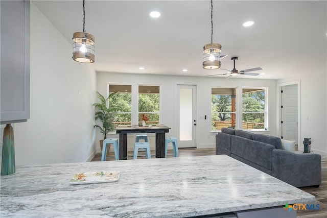 dining room with a wealth of natural light, dark wood-style flooring, and recessed lighting